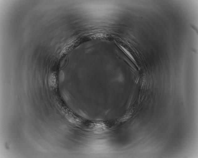 X0000100370715200806201628