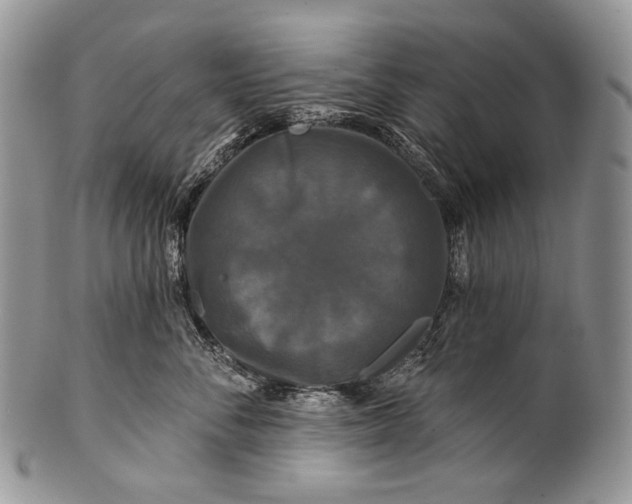 X0000100370716200806201628