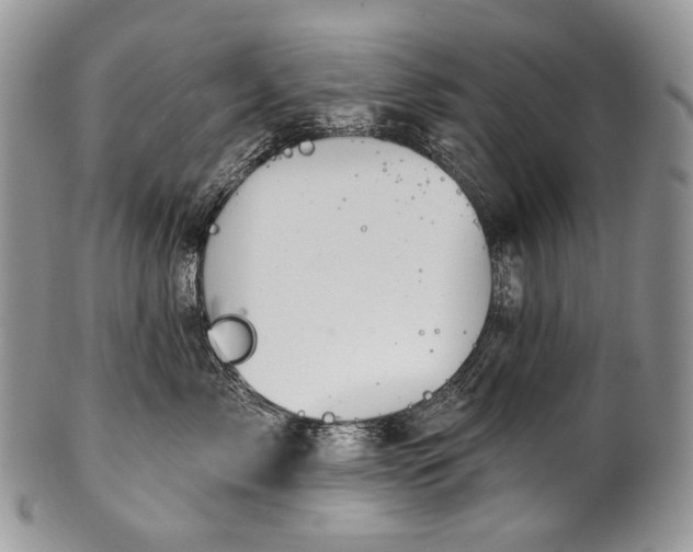 X0000100370717200806201628