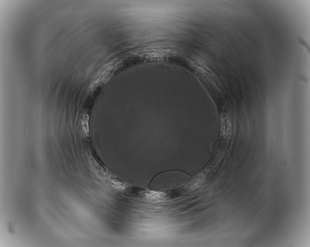 X0000100370718200806201628