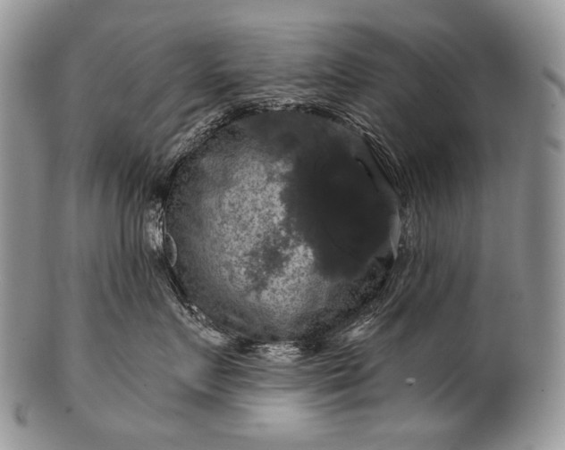 X0000100370719200806201628