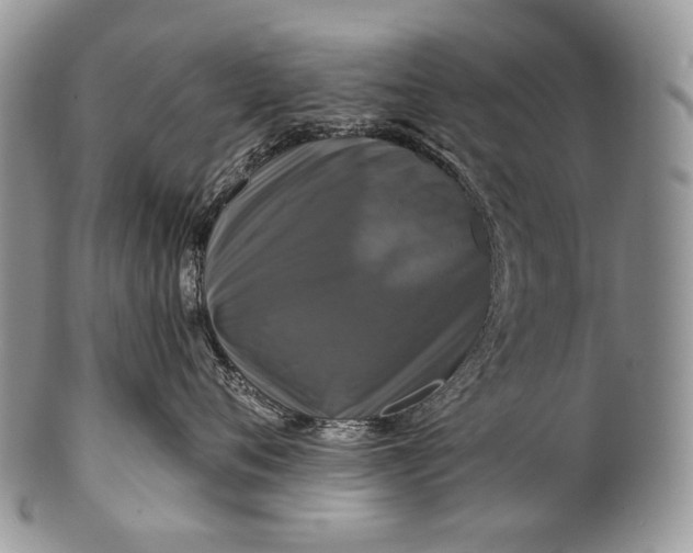 X0000100370720200806201628