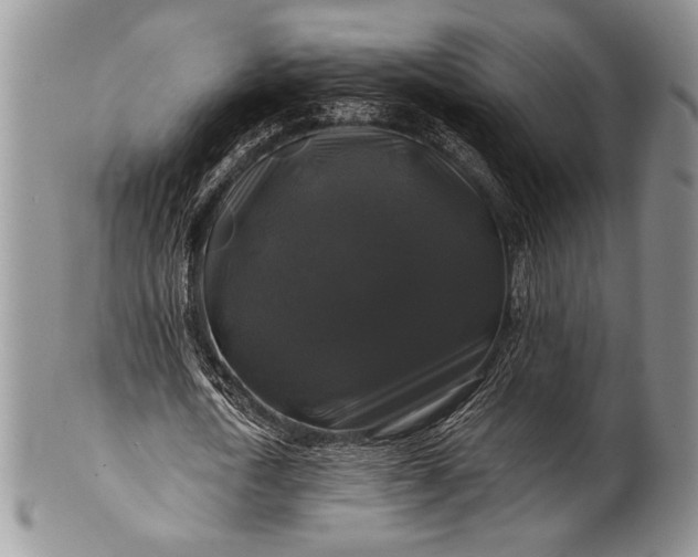 X0000100370722200806201627