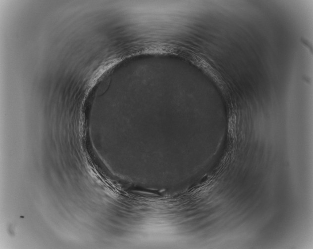 X0000100370724200806201627