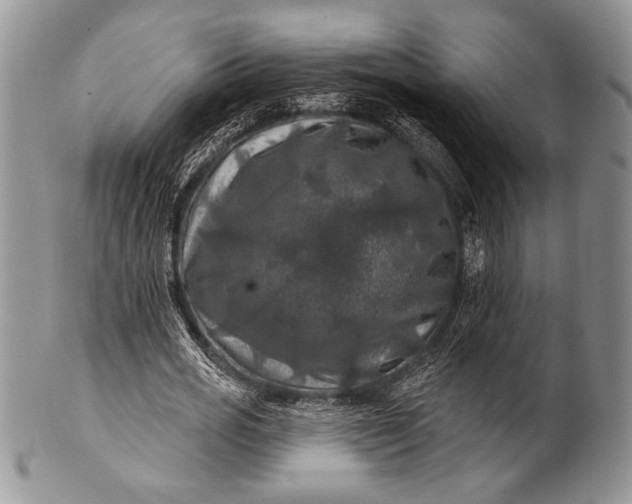 X0000100370725200806201627