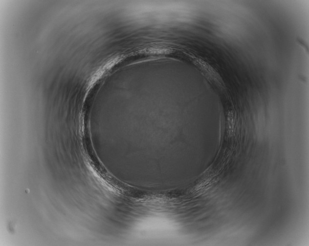 X0000100370726200806201627