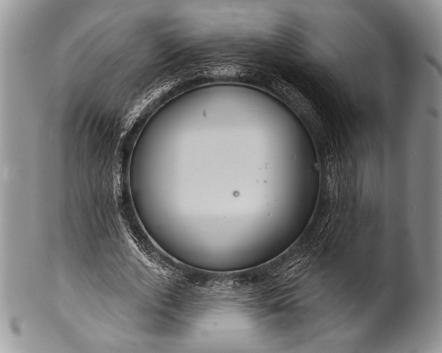 X0000100370728200806201627