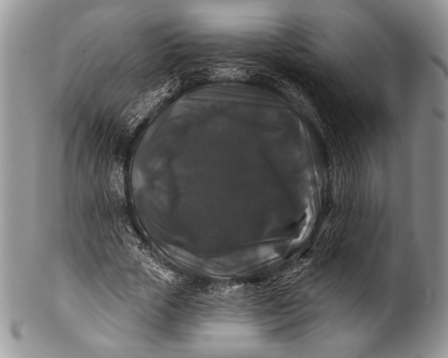 X0000100370729200806201627