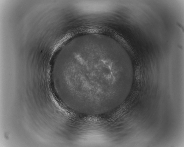 X0000100370730200806201627