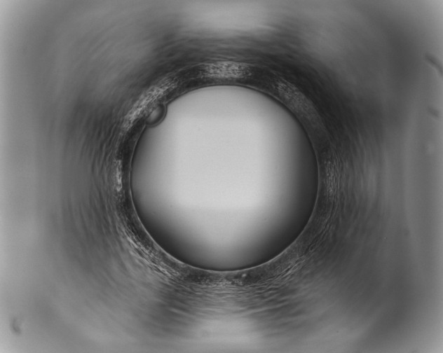 X0000100370731200806201627