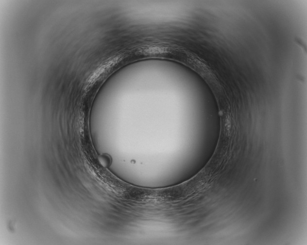 X0000100370732200806201627