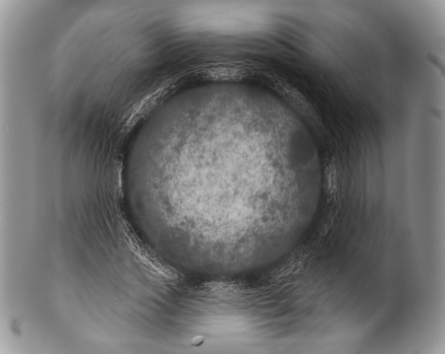 X0000100370733200806201627