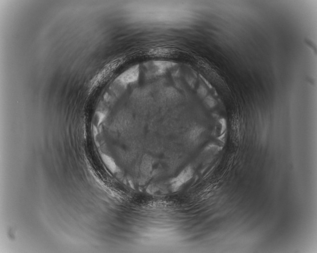 X0000100370734200806201627