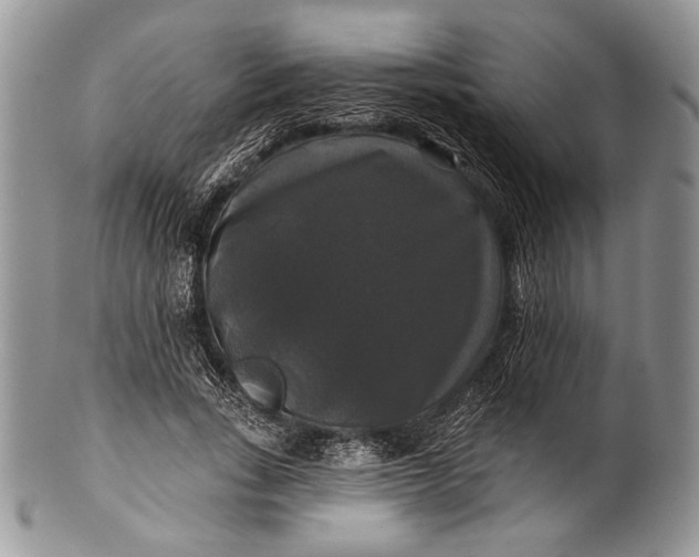 X0000100370735200806201627