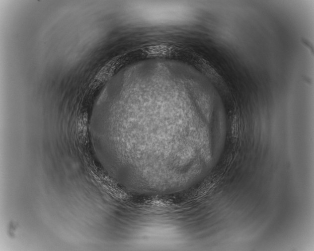 X0000100370737200806201627