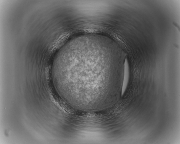 X0000100370738200806201627