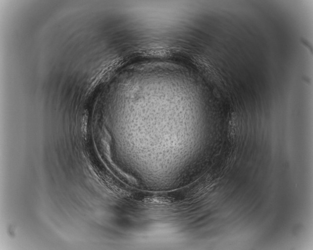 X0000100370739200806201627