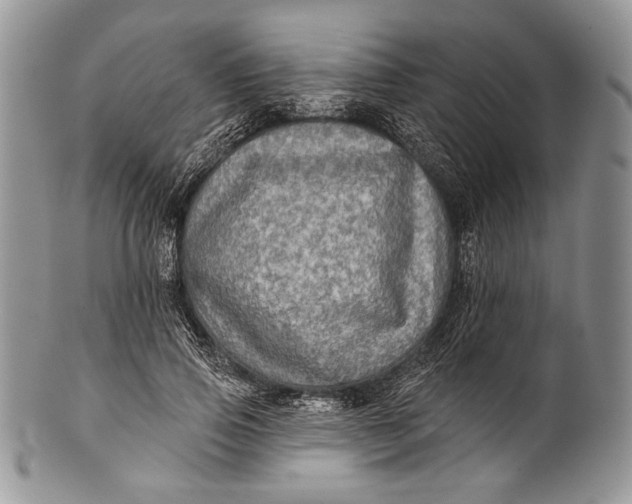 X0000100370741200806201627