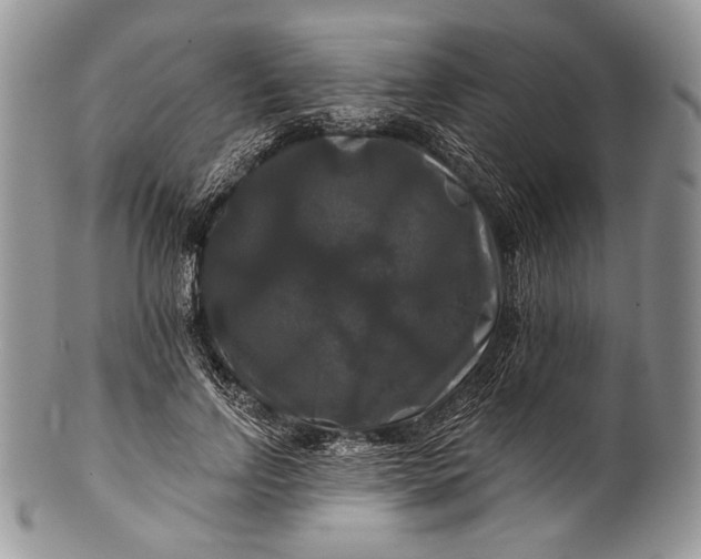 X0000100370742200806201627