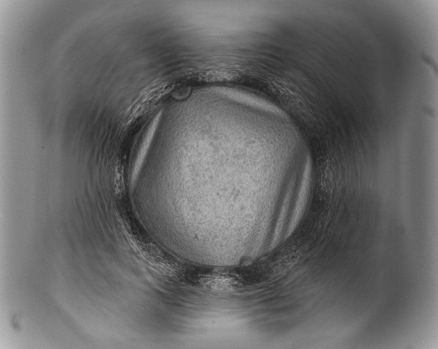 X0000100370743200806201627