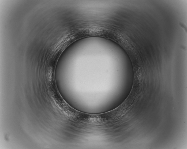 X0000100370744200806201627