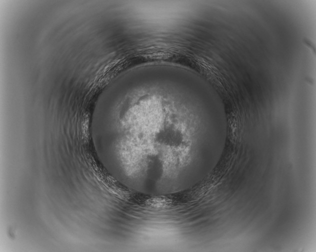 X0000100370745200806201627