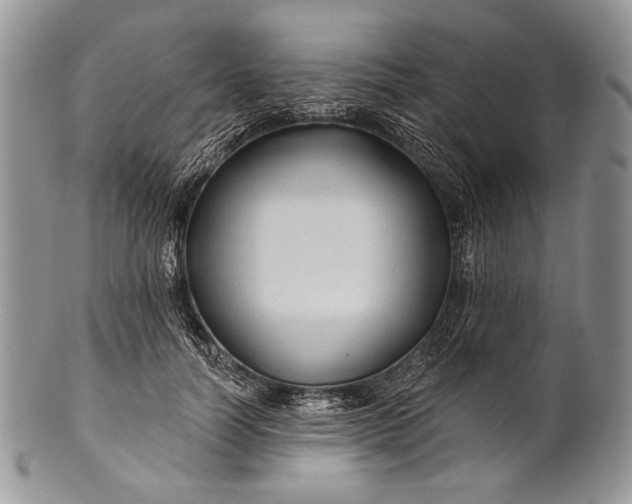 X0000100370746200806201627