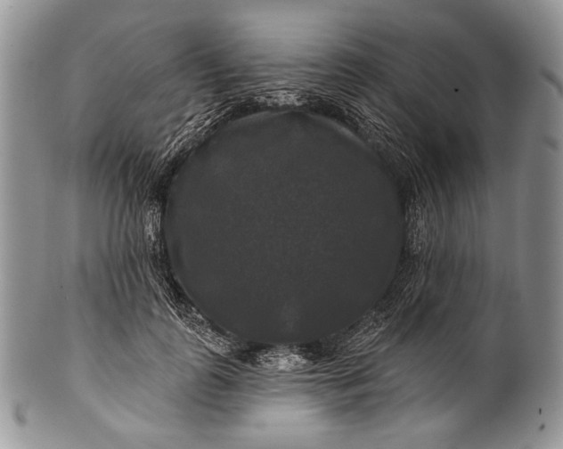 X0000100370747200806201627