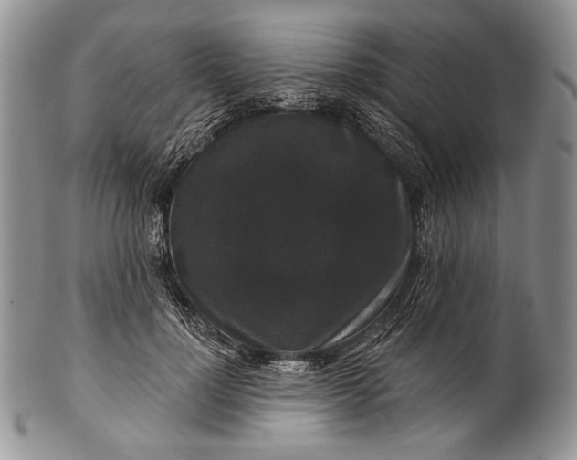 X0000100370748200806201627