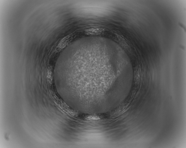 X0000100370749200806201627