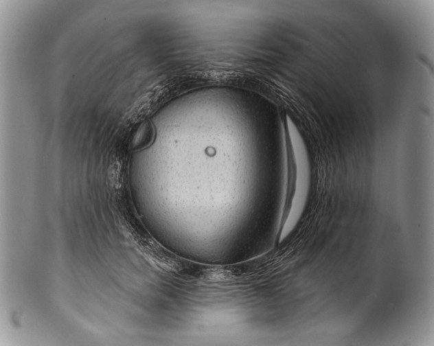 X0000100370750200806201627