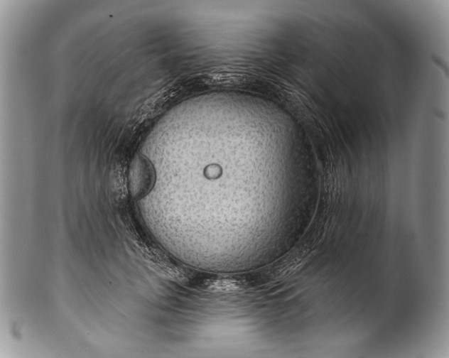 X0000100370751200806201627