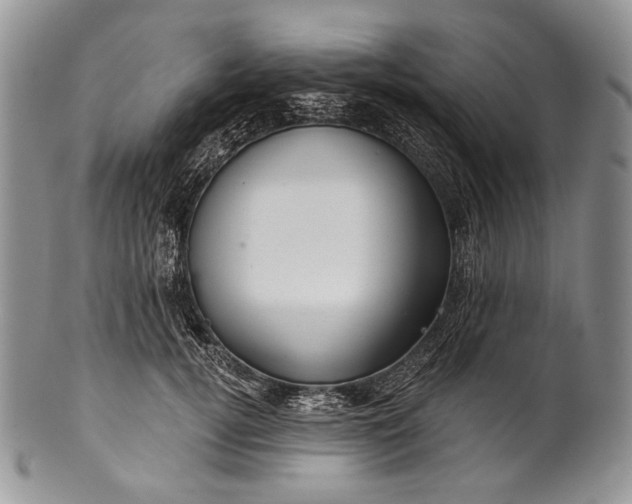 X0000100370752200806201627