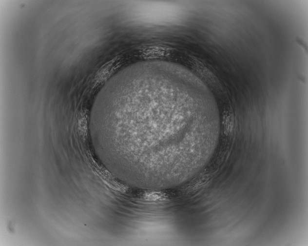 X0000100370753200806201627