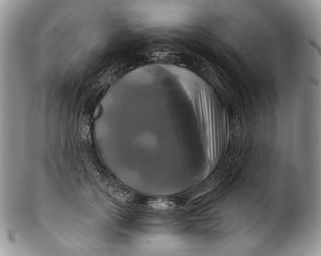 X0000100370754200806201627