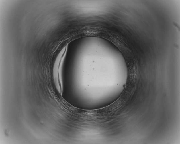 X0000100370755200806201627