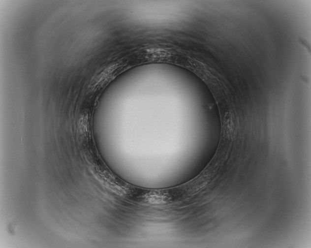 X0000100370756200806201627