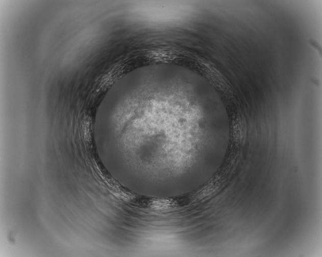 X0000100370757200806201627