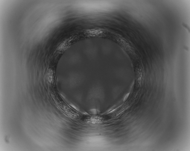 X0000100370758200806201627