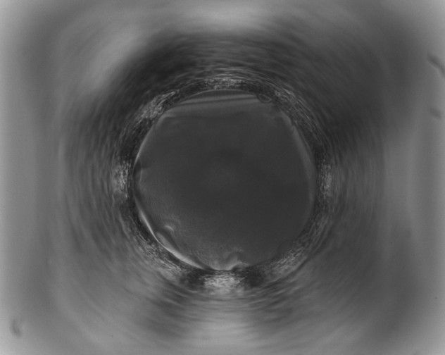 X0000100370759200806201627