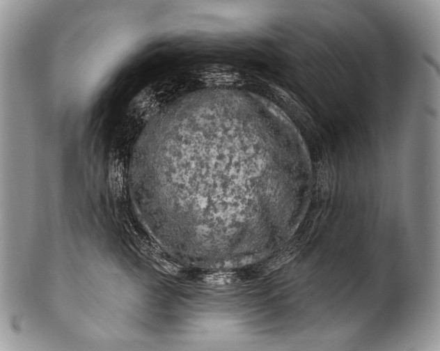 X0000100370761200806201627