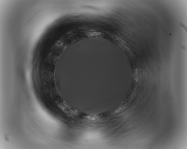 X0000100370763200806201627