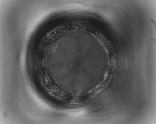 X0000100370765200806201627