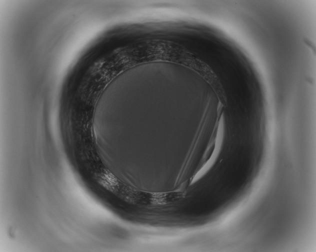 X0000100370766200806201627