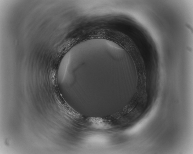 X0000100370767200806201628