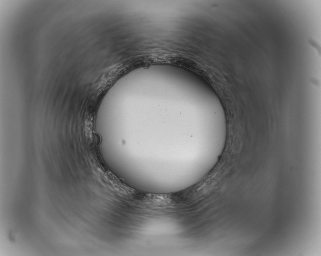 X0000100370768200806201628