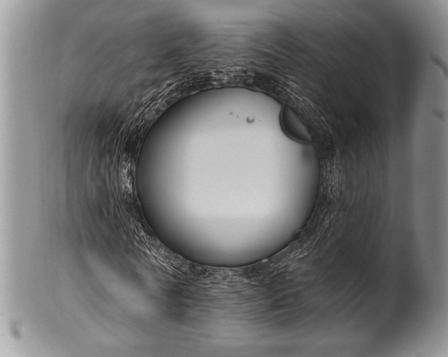 X0000100370770200806201627