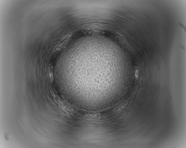 X0000100370771200806201627