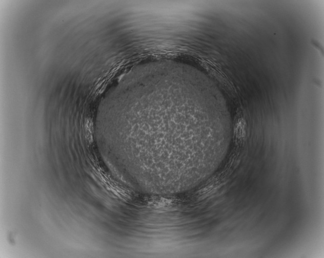 X0000100370772200806201627