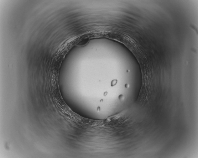 X0000100370773200806201627